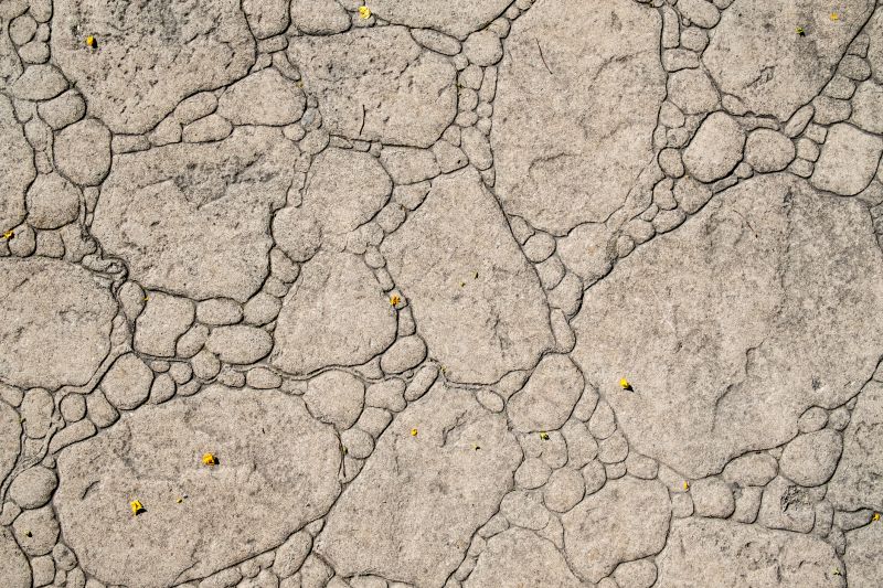 Decorative Concrete Repair in Olathe, KS